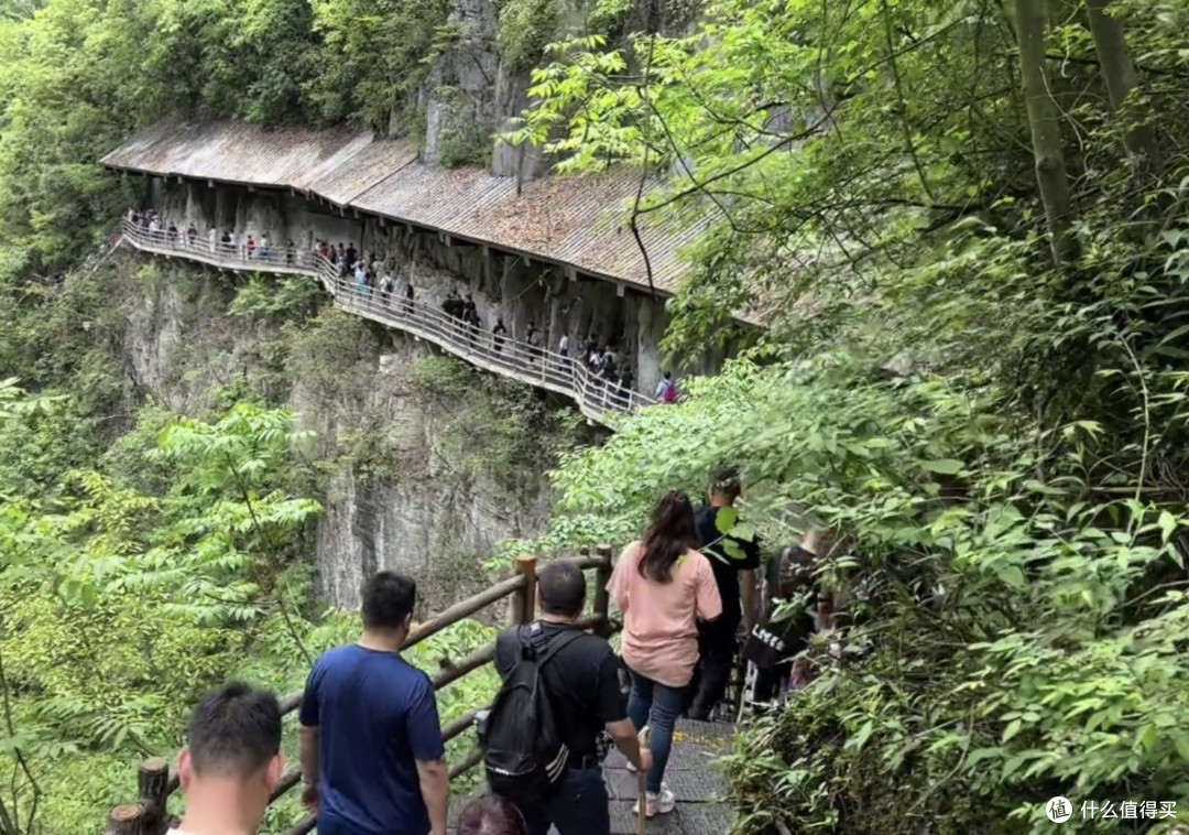 风景绝美的恩施大峡谷!