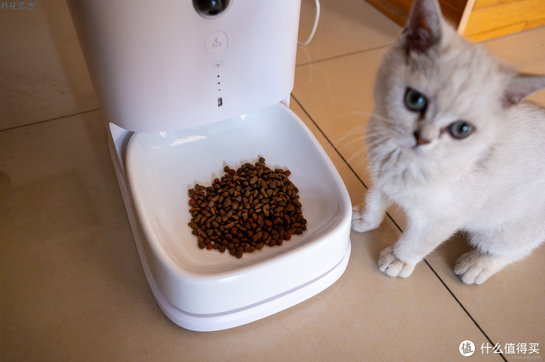 给猫咪更健康的饮食体验，宠咕咕智能宠物喂食器上手