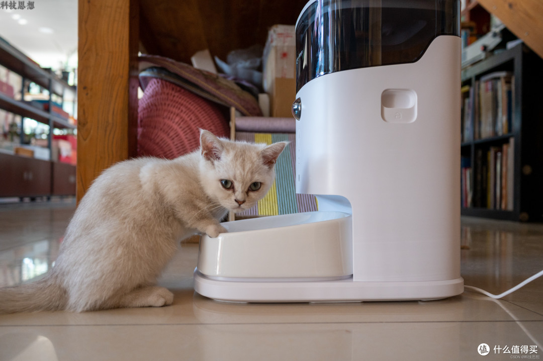 给猫咪更健康的饮食体验，宠咕咕智能宠物喂食器上手