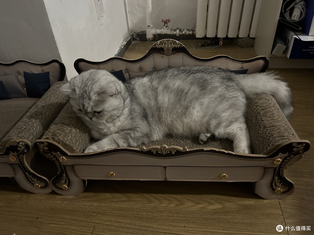 沙发猫抓板——能抓也能睡