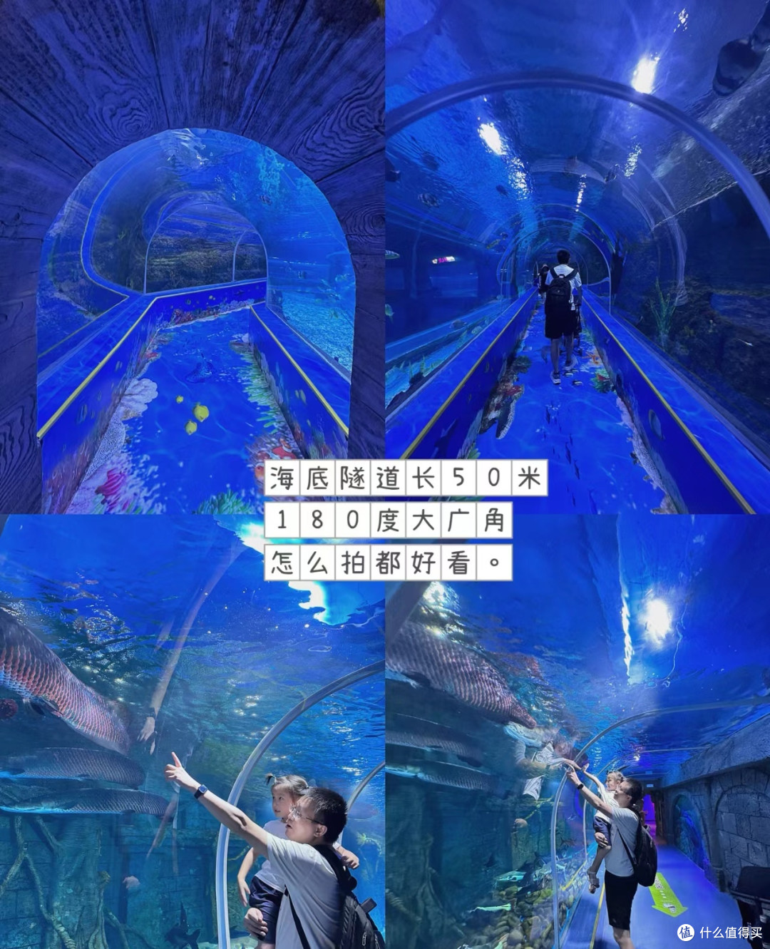 打卡观澜海洋世界,圆梦孩子海洋馆之旅