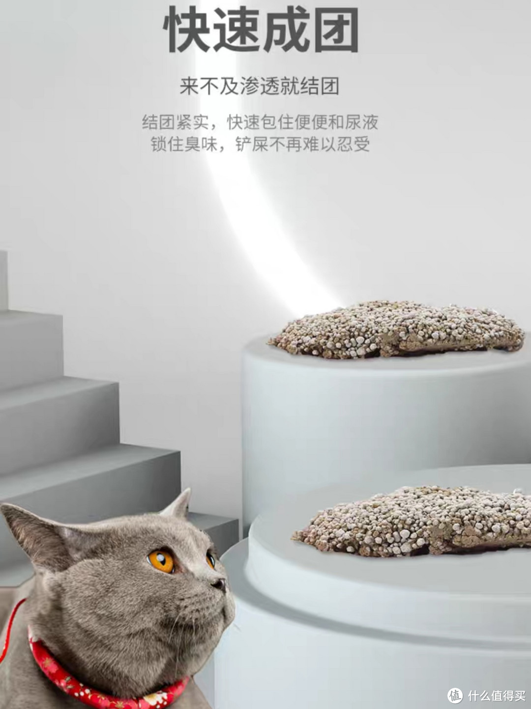 猫砂如何选择？教你挑选适合自家猫咪的猫砂！