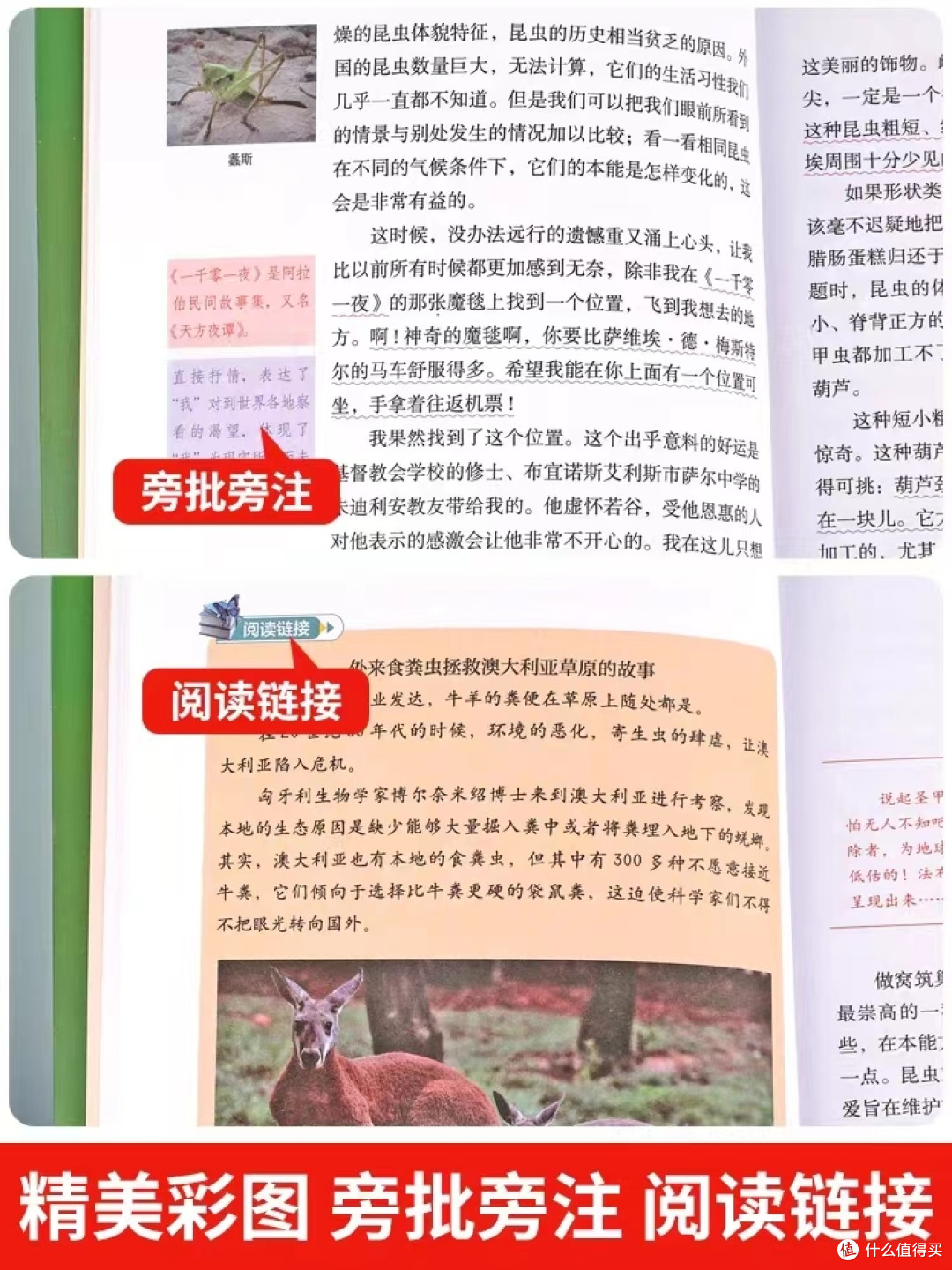 青少年必备读物之《昆虫记》