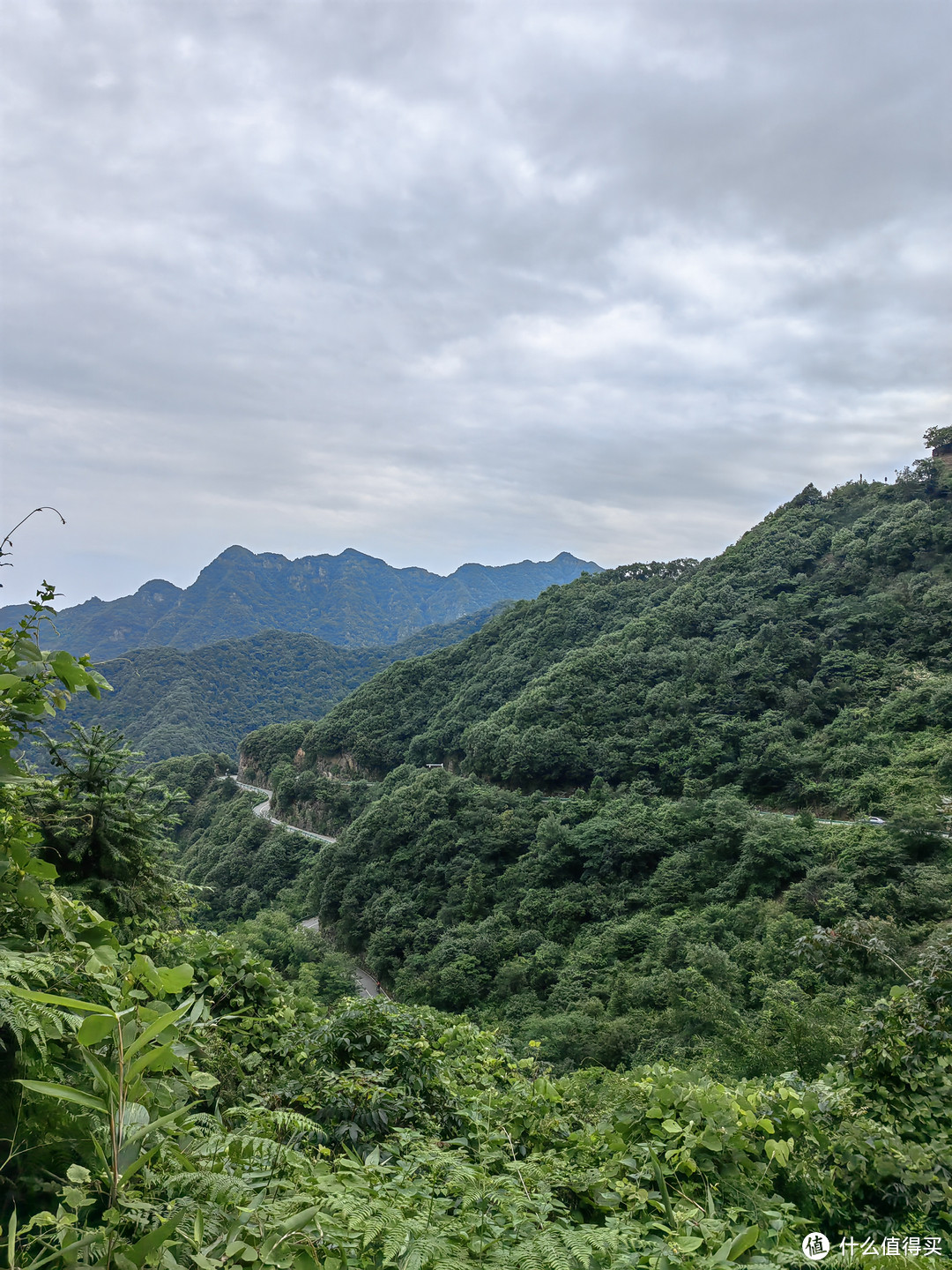 桃岭天路