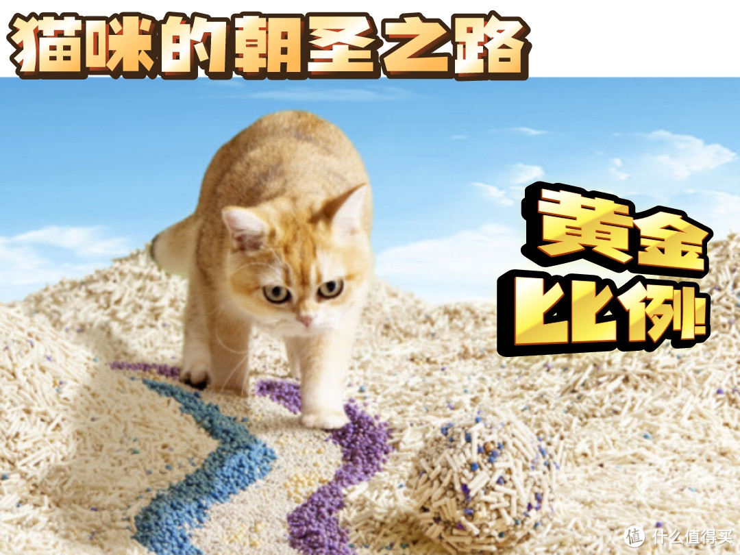 猫咪的朝圣之路——猫砂黄金比例