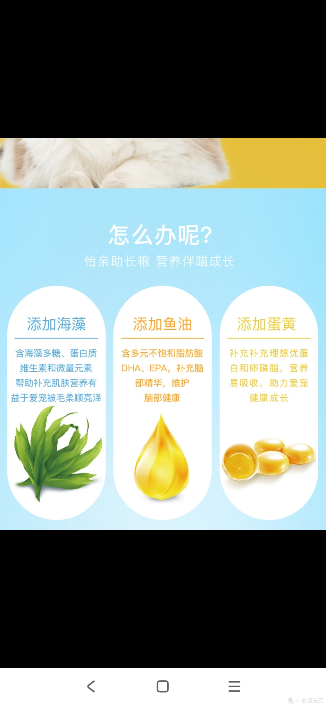 铲屎官好物-猫子的幸福生活之-换猫粮!