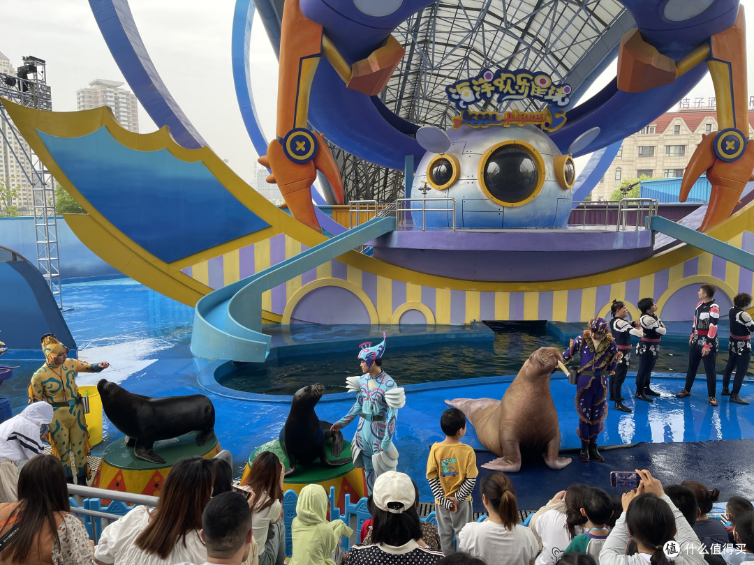 夏日限定之极地海洋公园一日游