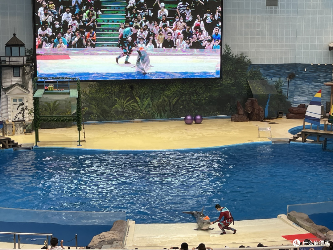 夏日限定之极地海洋公园一日游
