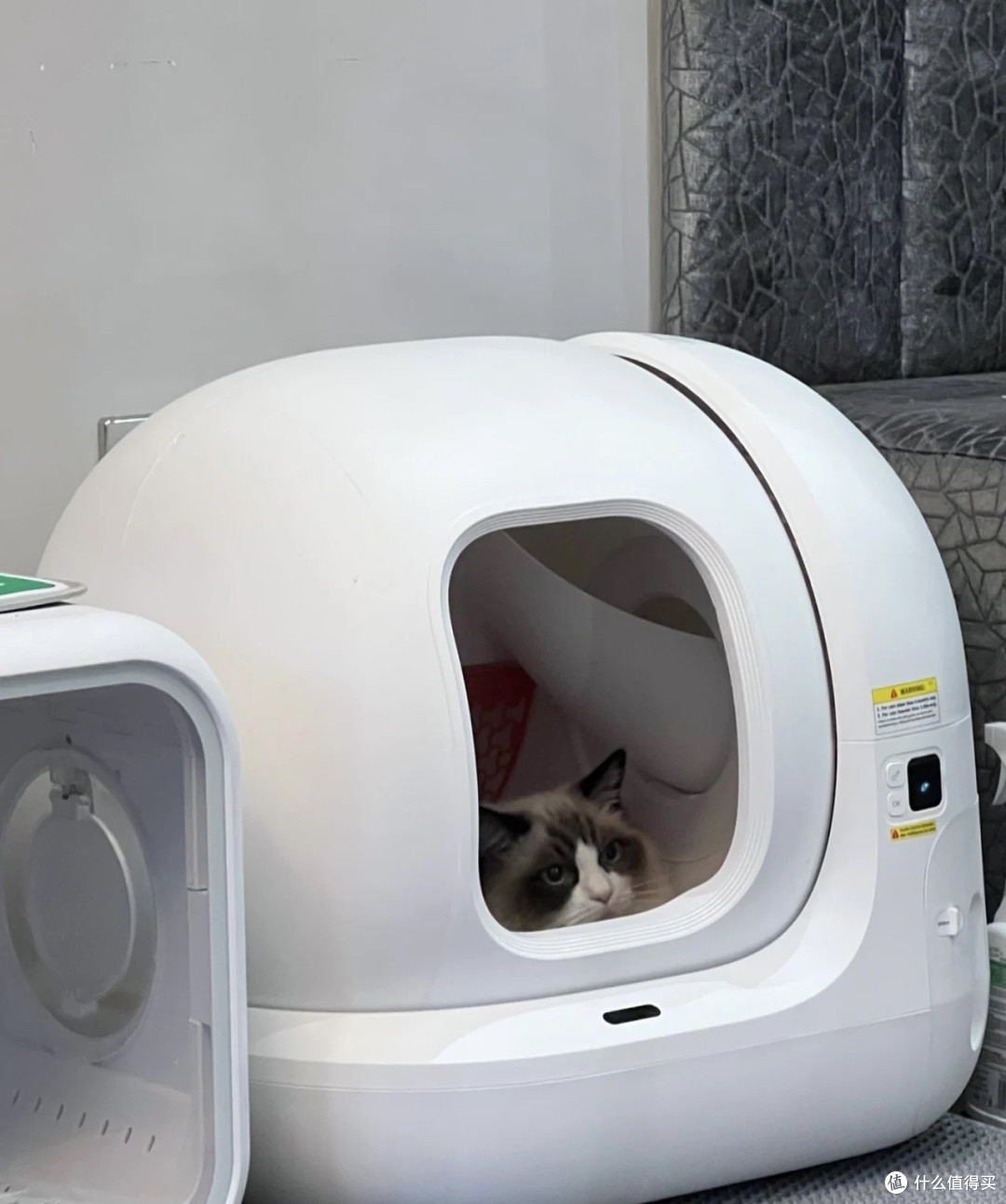 如何给心爱的猫咪挑选一款合适猫砂盆