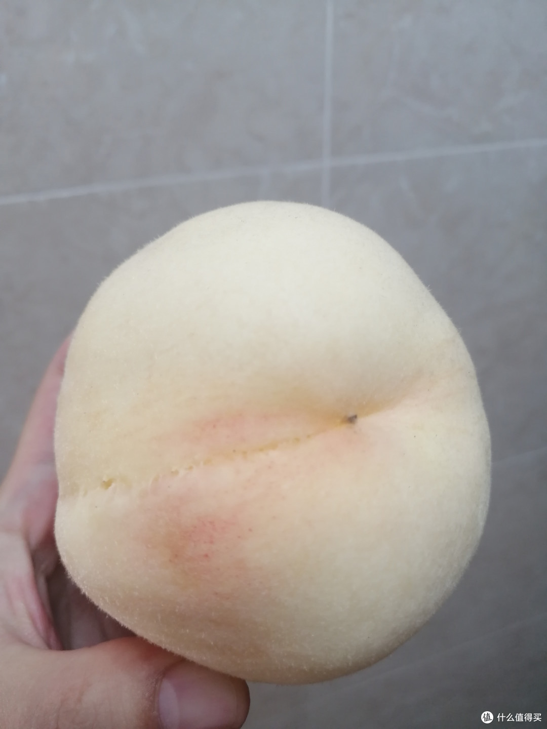 夏日美好生活 | 水果篇 篇二