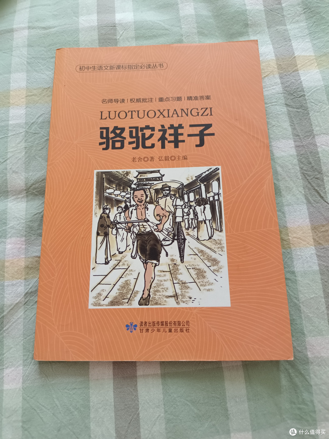 《骆驼祥子》——拼搏路上的独行者,敢于追逐梦想的故事🌿