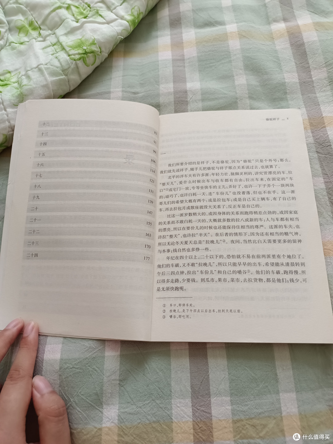 《骆驼祥子》——拼搏路上的独行者,敢于追逐梦想的故事🌿