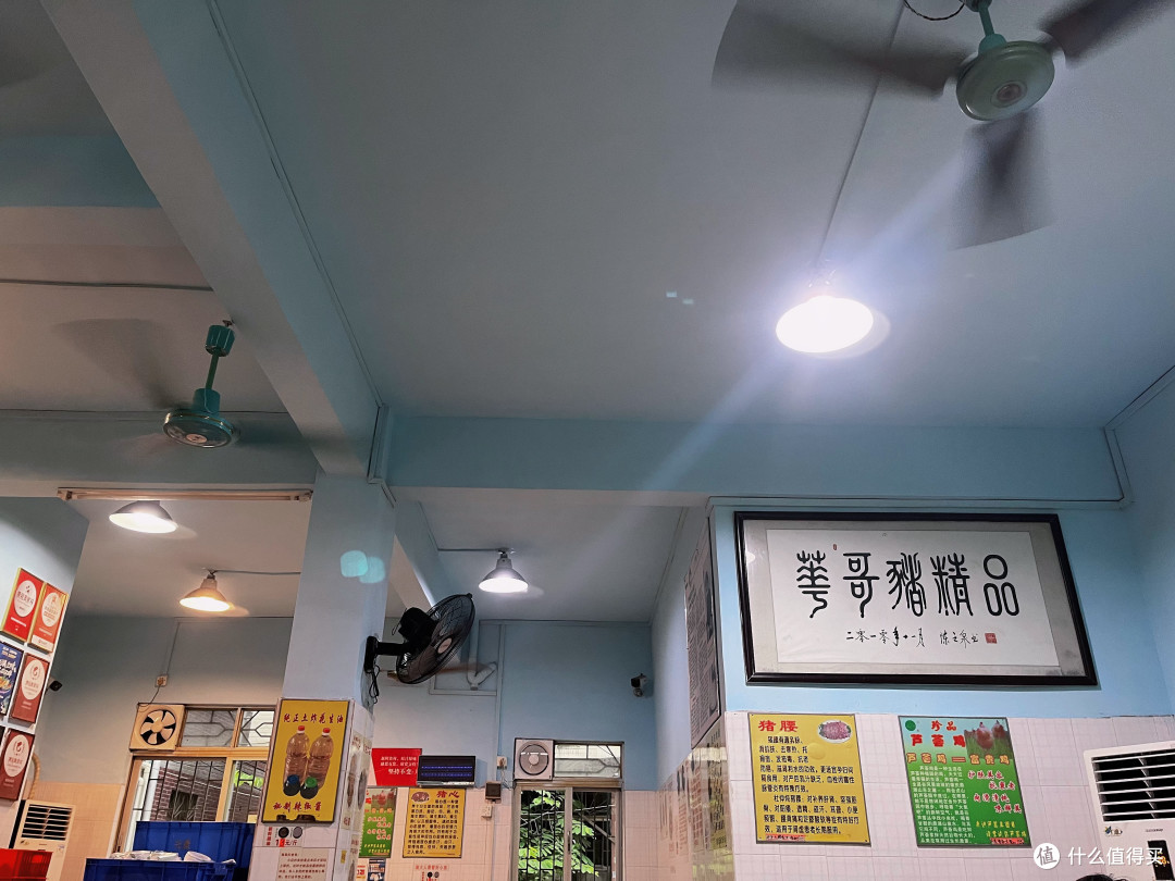在阳光正好的日子里,出去走走