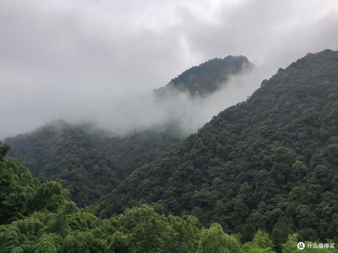云雾缭绕，郁郁苍苍