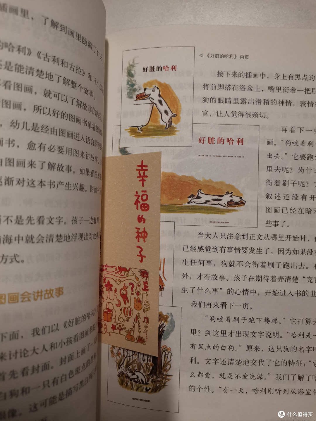 给孩子种下幸福的种子！