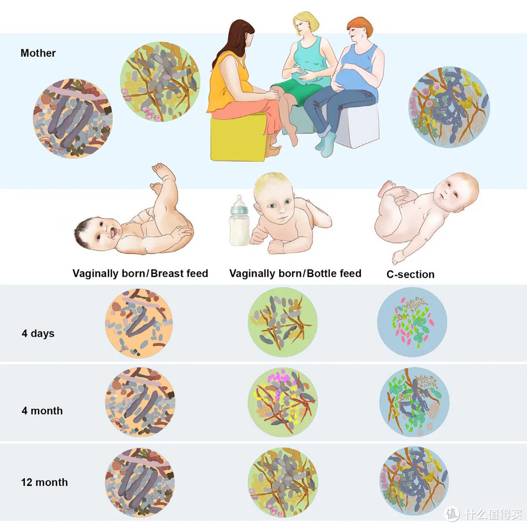 剖腹产和顺产怎么选？剖腹产也很痛，对孩子免疫力、智力、体重有影响，所以喂养应该这样做～