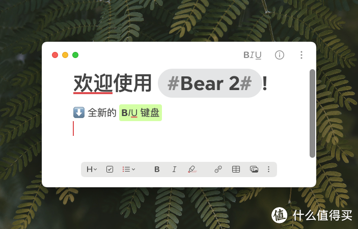 高颜值笔记软件大更新，Bear 2 都有哪些「新料」