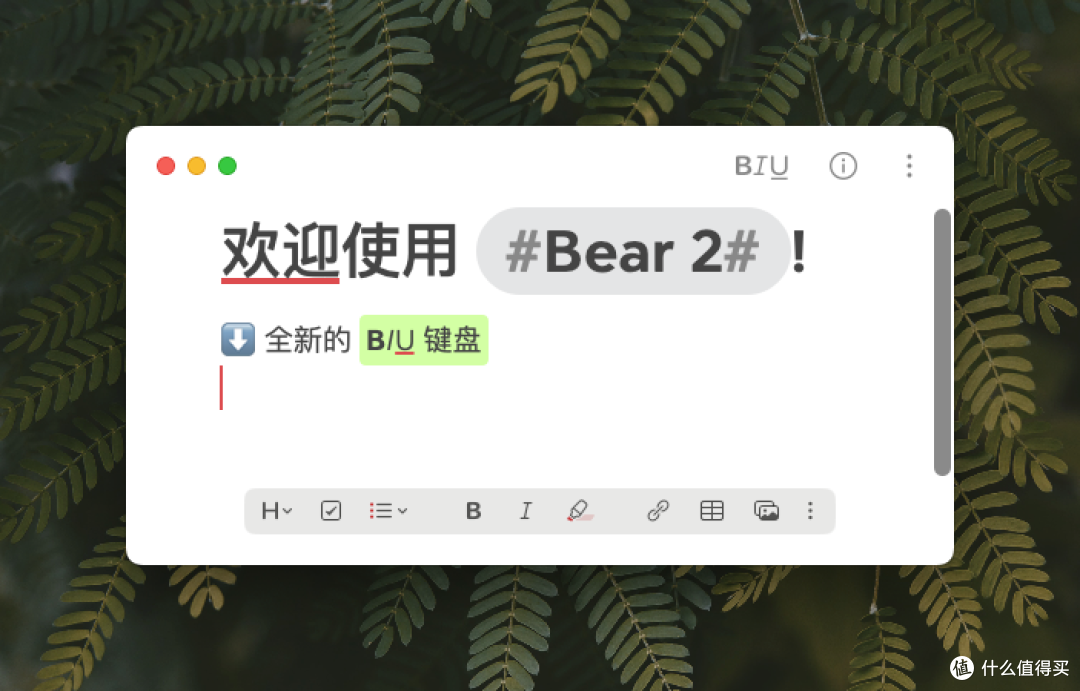 高颜值笔记软件大更新,Bear 2 都有哪些「新料」