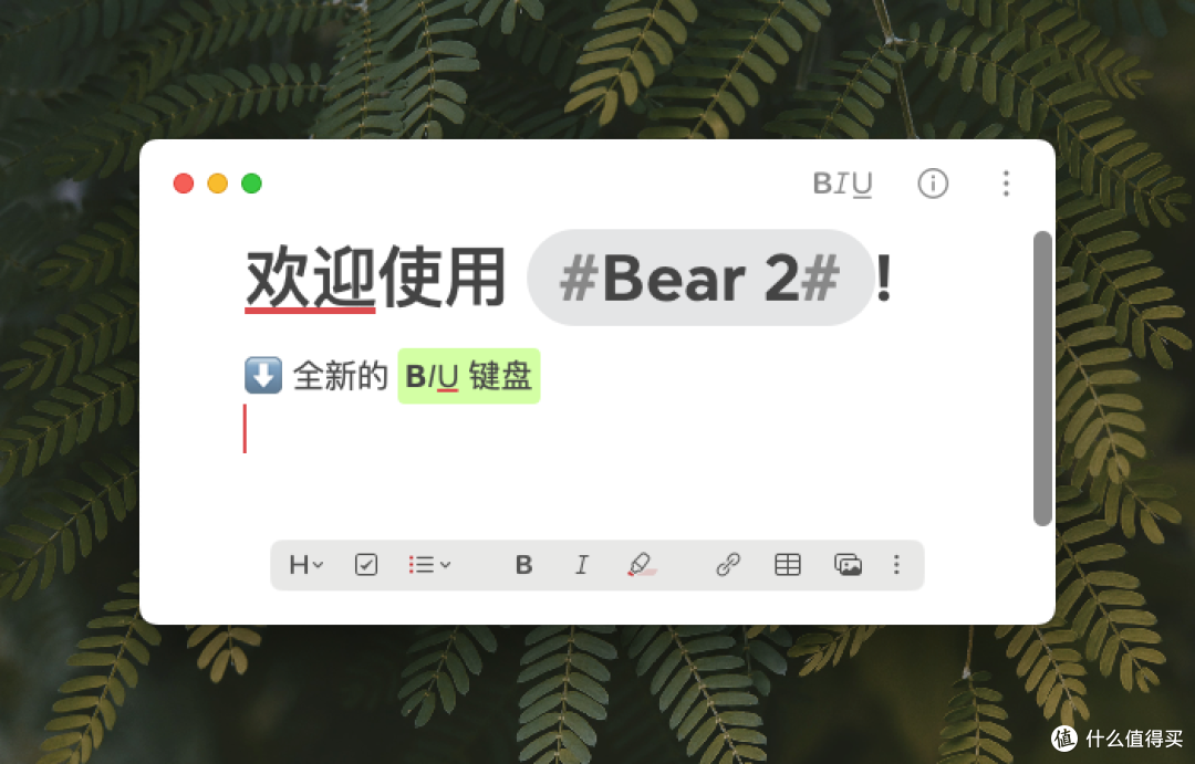 高颜值笔记软件大更新，Bear 2 都有哪些「新料」