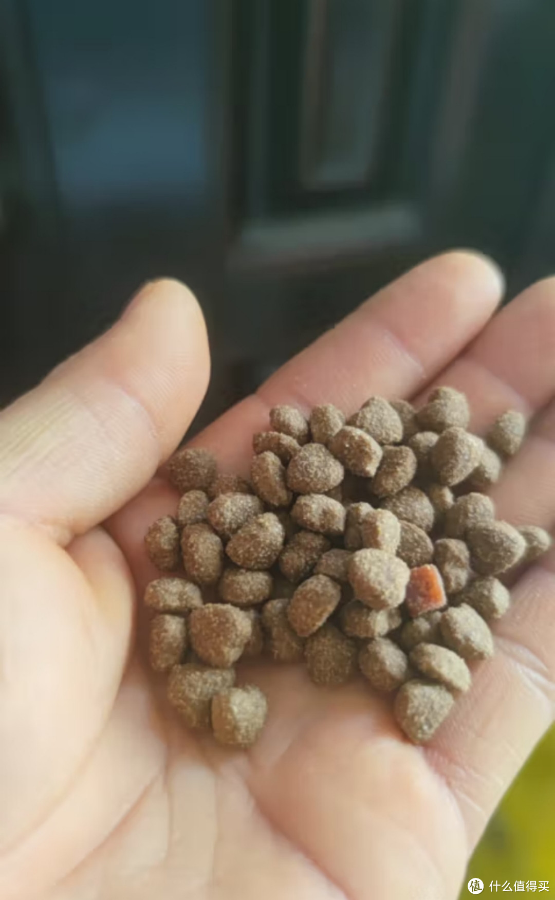 台派 狗粮40斤装牛肉味双拼通用型金毛萨摩耶拉布拉多德牧马犬中大型专用成犬幼犬粮20kg 