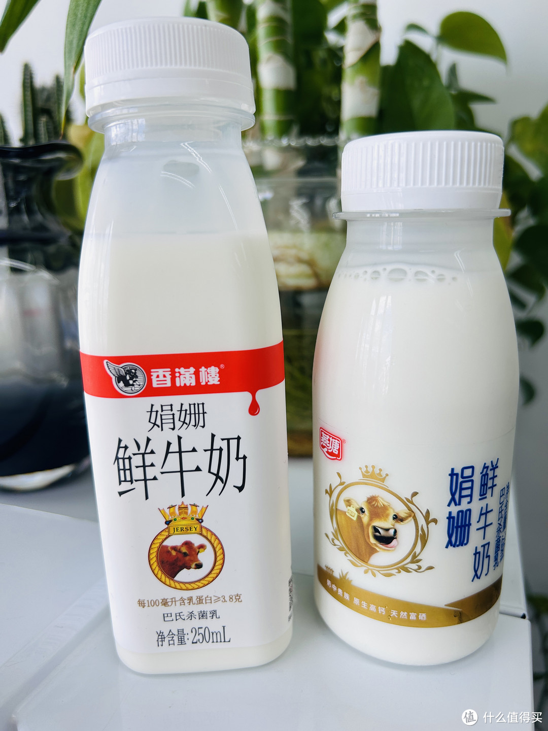 为什么娟姗鲜牛奶那么火还那么贵？是真的“奶中贵族”？