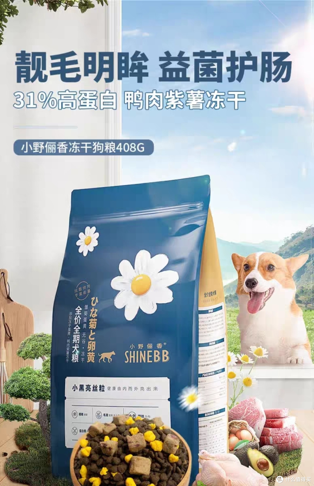 如何选购优质狗粮?揭秘狗粮选购小技巧_狗粮_什么值得买