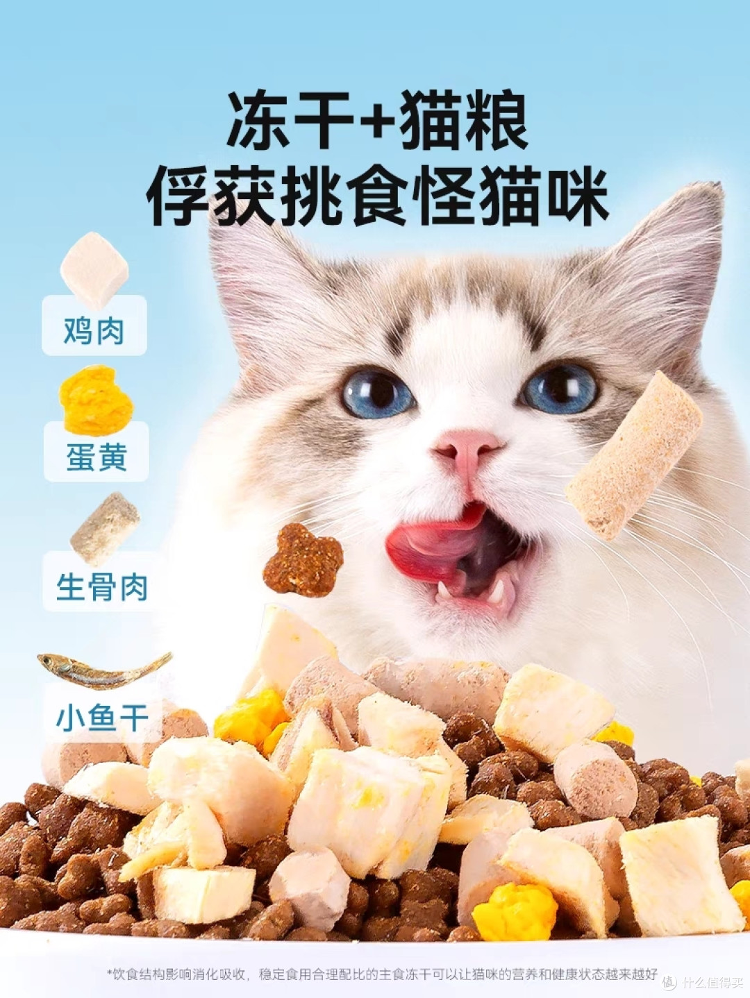 冻干猫粮:口感美味,营养丰富的喵星人最爱