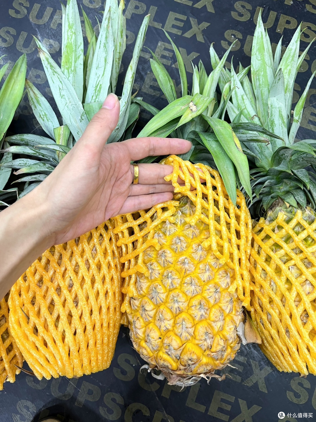 诚实守信让生活更加美好