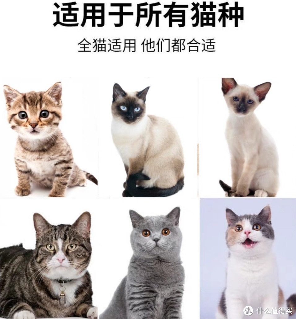 养猫人士看过来，干货满满的好物推荐