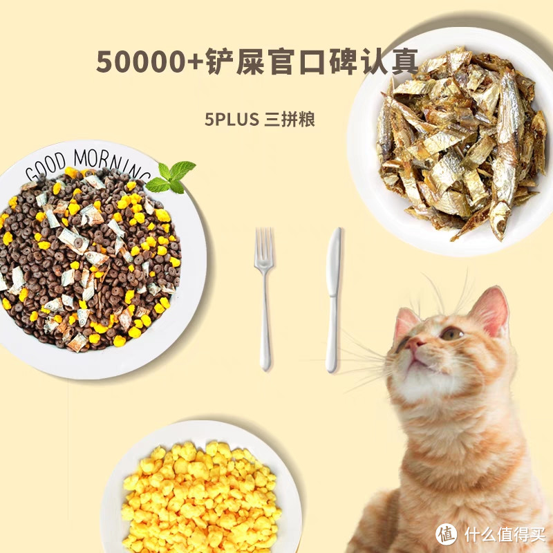 养猫人士看过来，干货满满的好物推荐