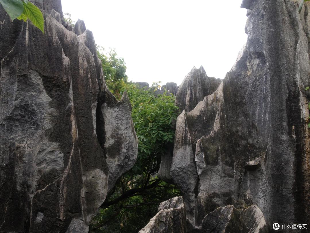 昆明车程1小时,人少景美的乃古石林,几乎没有旅行团