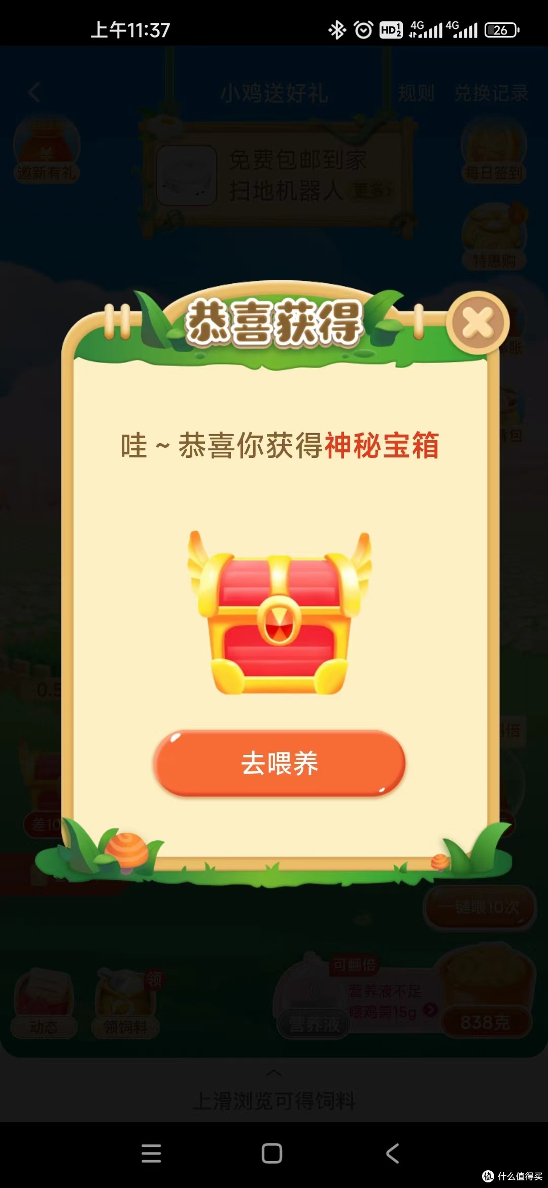 小鸡送好礼:打造个性化宠物,感受喂养乐趣!