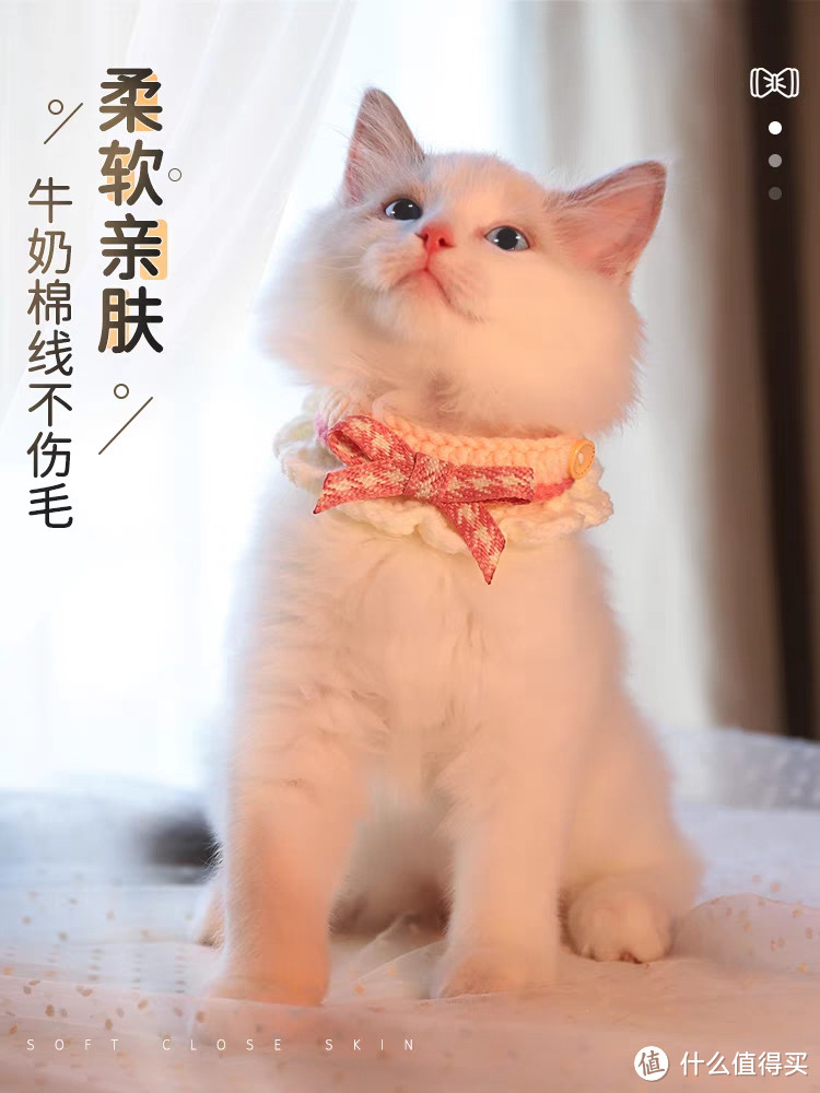 猫咪戴上围脖真的太可爱啦