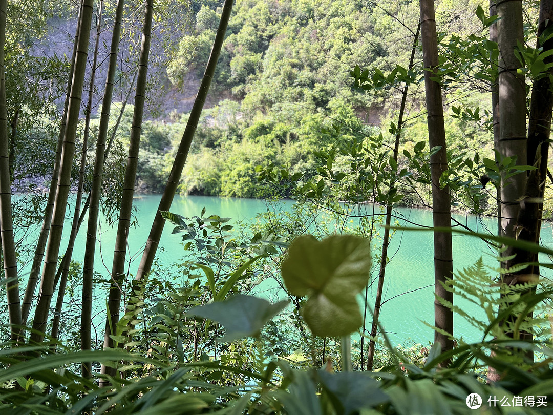 江浙沪避暑之选莫干山，夏天来了就随便走走停停～