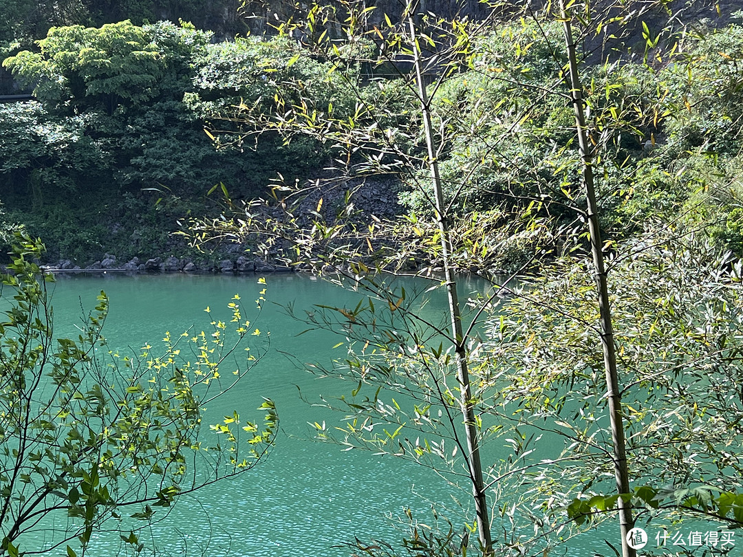 江浙沪避暑之选莫干山，夏天来了就随便走走停停～