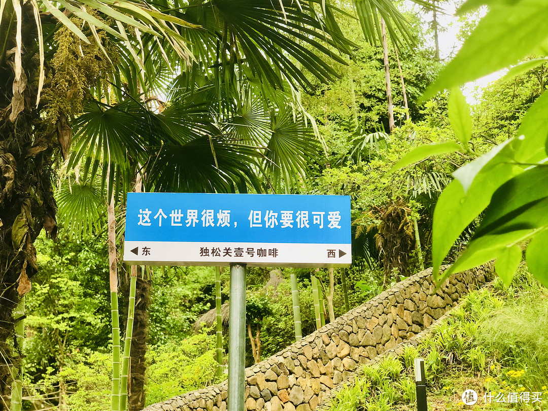 江浙沪避暑之选莫干山，夏天来了就随便走走停停～