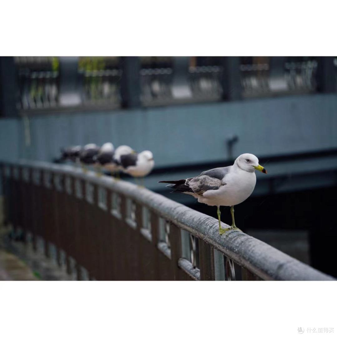 薯条