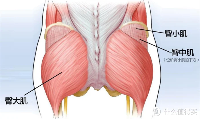 臀部过大，如何瘦臀？