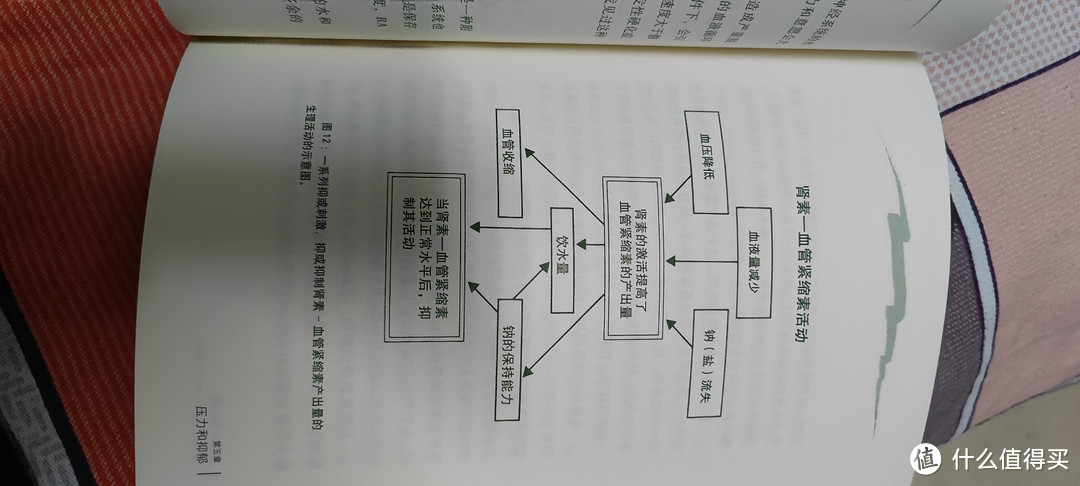 这本书建议每个人都看一看，特别是不爱喝水的人