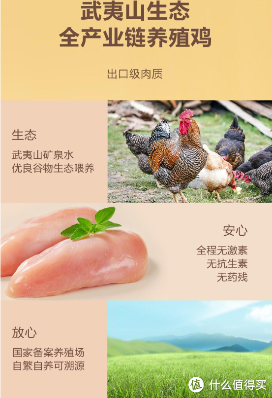 SAM控能 低脂高蛋白鸡胸肉肠 800g——享受健康美味的好选择