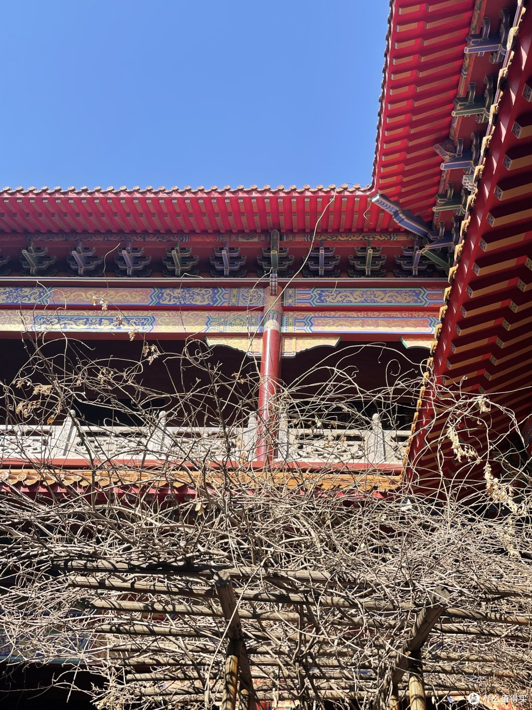 国家4A级景点 潍坊金泉寺