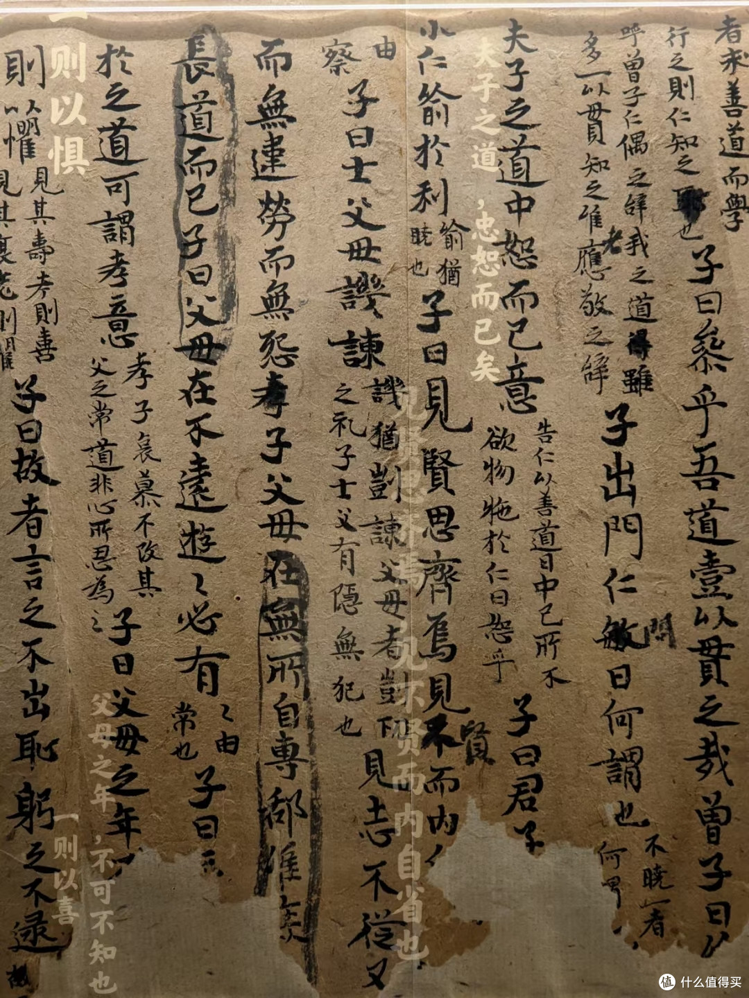 这么热的天,去博物馆避暑吧