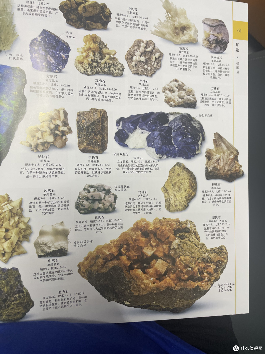 一幅生动的自然历史画卷,带您领略无与伦比的奇妙世界