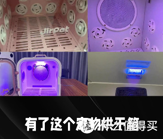 小猫洗完澡,烘干神器。
