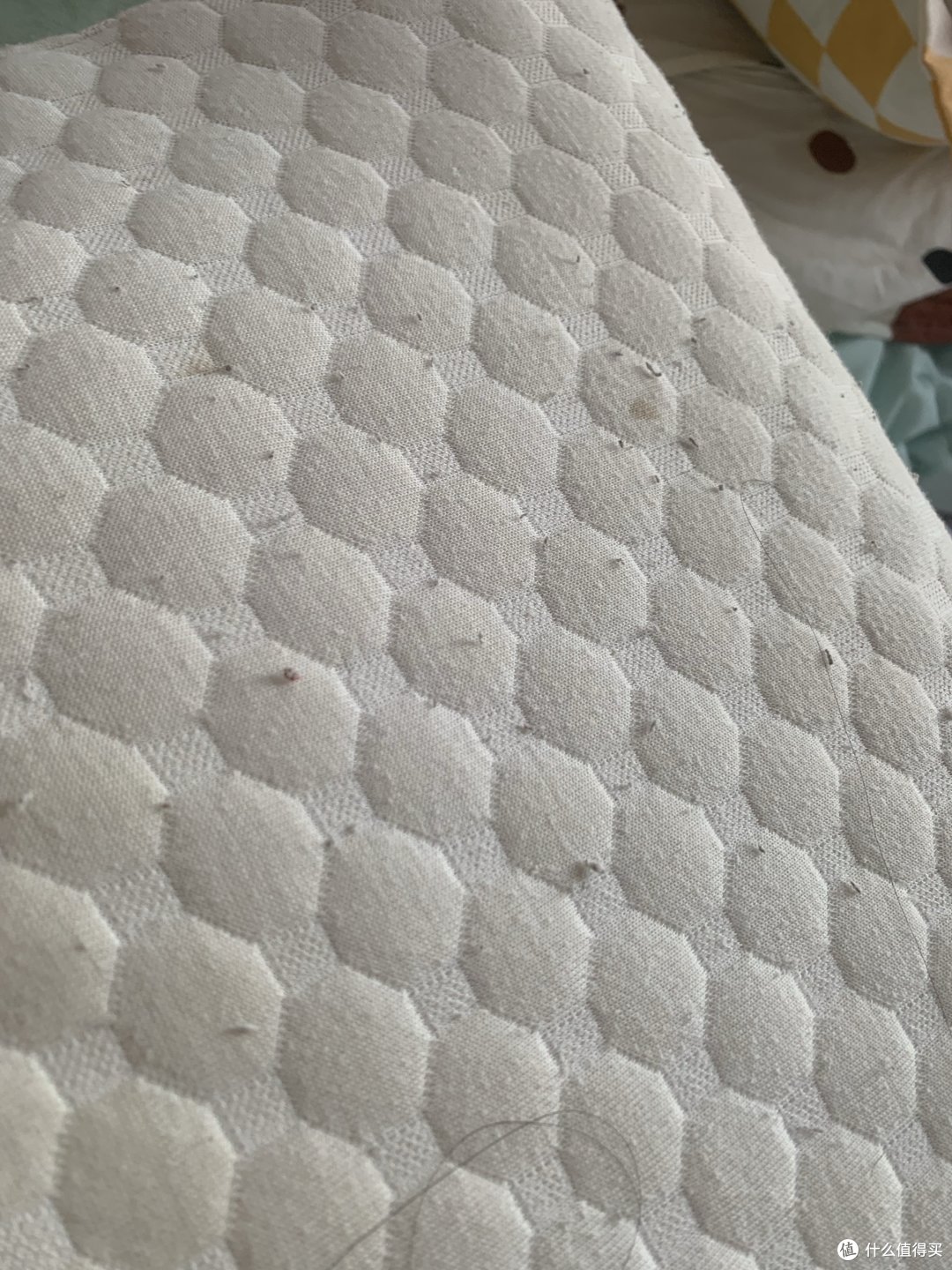 这款枕头真的舒服，有了它，整个夏日不管多热都可以睡好觉