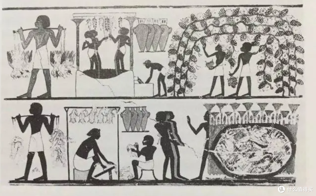啤酒发展史:从古至今的醉人旅程
