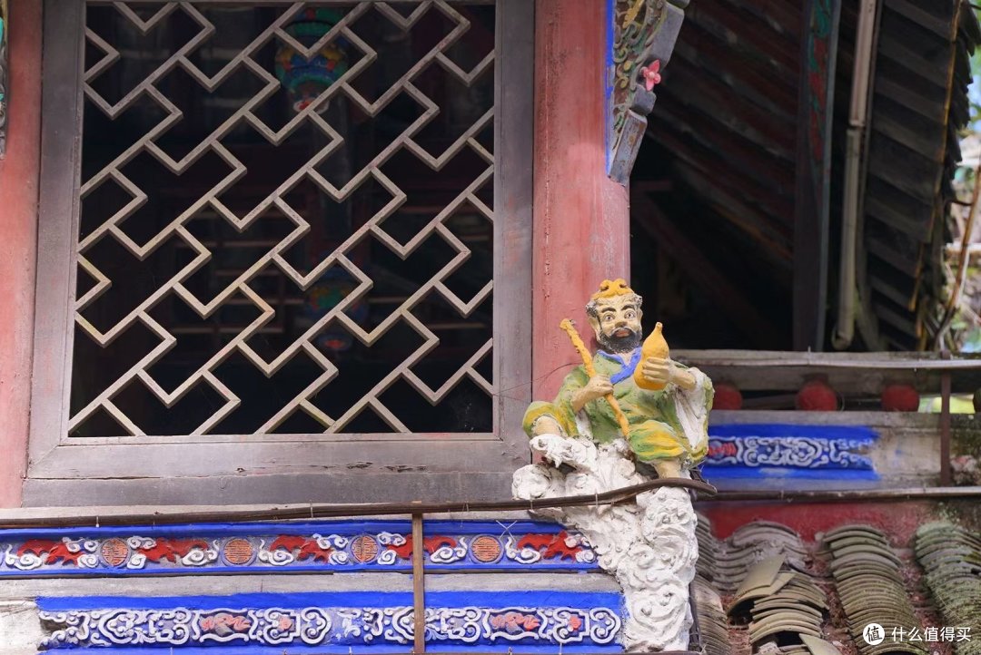 万物有灵,青城山的奇妙之旅:与大自然共同呼吸,感受灵动与和谐