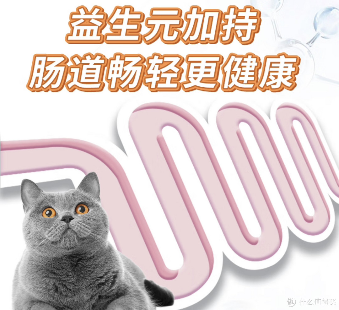 顽皮（Wanpy）鸡肉三文鱼猫罐头——为猫咪带来夏日的口感享受