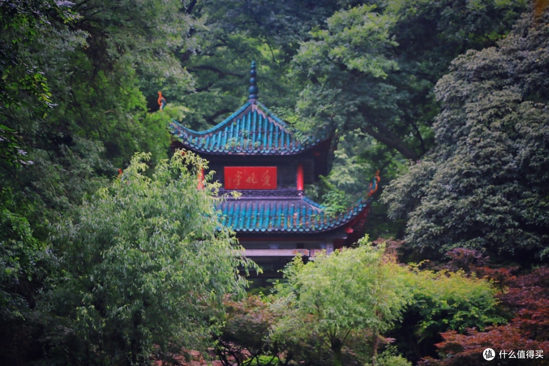 夏日特辑之岳麓山一日游