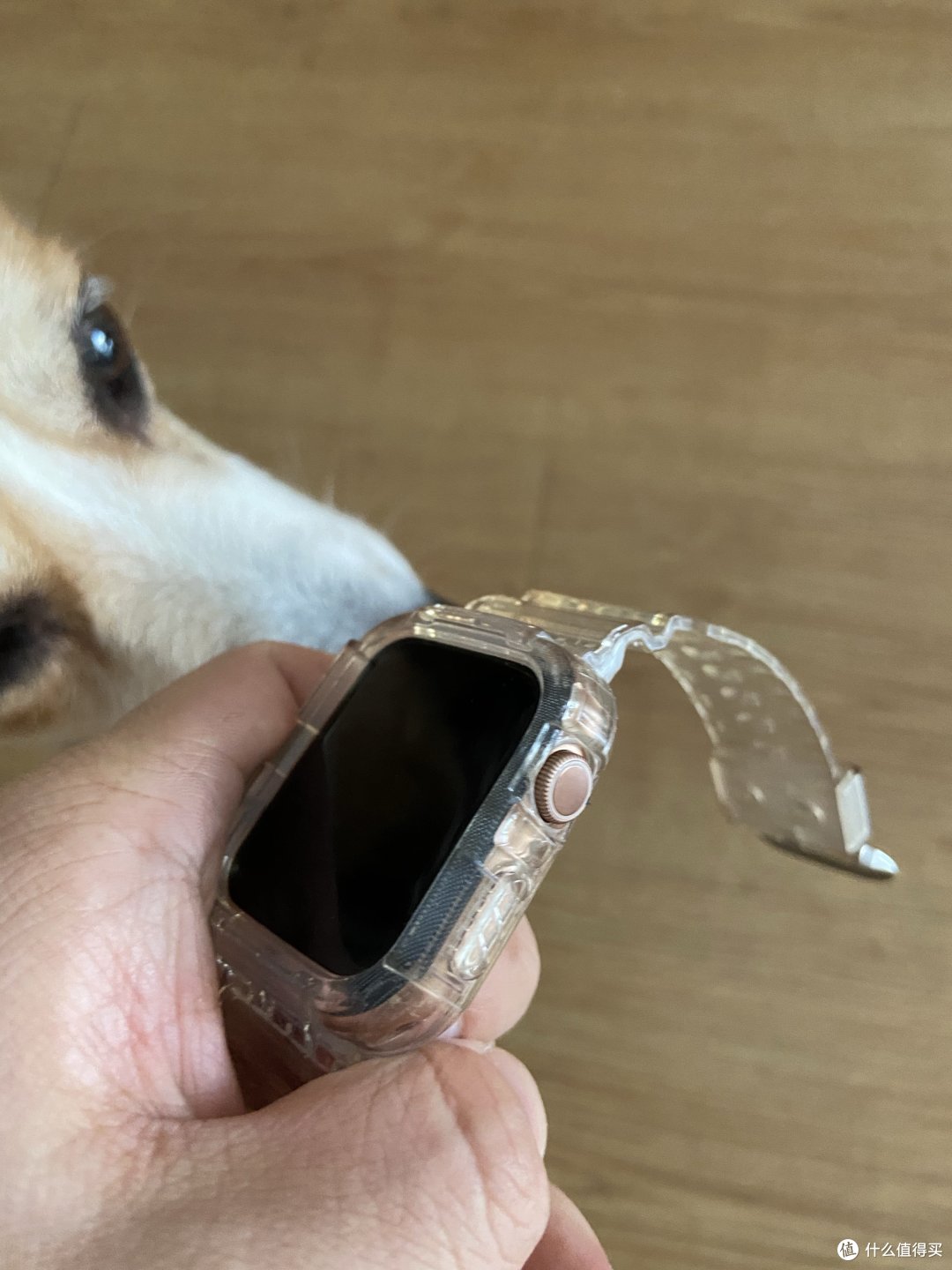 Apple Watch一天一冲,太麻烦了……